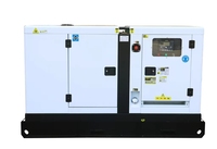 Générateur diesel silencieux triphasé 25 kW 30 kVA, insonorisé, moteur Weichai, groupe électrogène avec alternateur sans balais pour l'industrie