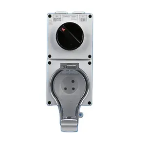 IP66 weatherproof switch socket with Israel socket/ weatherproof socket switch