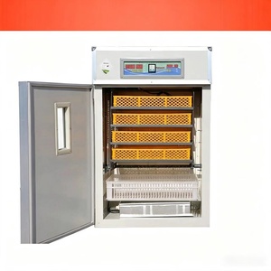 Nueva Incubadora Youmu Totalmente Automática de Triple Propósito con Capacidad Estándar para Huevos, Multifuncional para Incubación, Eclosión y Cría de <span class=keywords><strong>Pollitos</strong></span> - Product Image 1