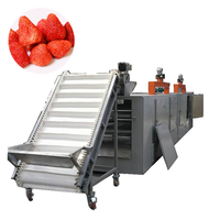 Yoursjoys Magnetron Vacuümdroger voor Fruit Snack Verwerking Laagtemperatuur Droging RVS SUS304 Elektrische Verwarming