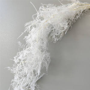 Yunnan Vente en gros Asperges conservées Fleurs de fougère pour la fête de mariage et décor de <span class=keywords><strong>maison</strong></span> Saint Valentin et Pâques Faveurs de mariage - Product Image 1