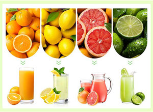Extracteur de jus de Máy ép trái cây thép không gỉ trái cây tươi cam chanh niềm đam mê trái cây Đôi con lăn Máy ép trái cây vắt máy - Product Image 6
