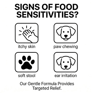 Alimento <span class=keywords><strong>para</strong></span> <span class=keywords><strong>Perros</strong></span> con Proteína Alta y Baja Sensibilidad, Protección <span class=keywords><strong>Gastrointestinal</strong></span>, Alimento Básico Universal <span class=keywords><strong>para</strong></span> Todas las Etapas, Empaque Personalizado - Product Image 4
