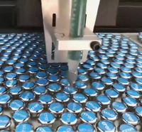 Robot de distribution de colle époxy automatique de précision CCD à double station avancé avec vision