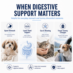Gel de Carbón Activado para Mascotas de Alta Adsorción, para Perros y Gatos, Apoyo al Tracto Digestivo, Suplemento de Arcilla Bentonita de Marca Privada - Product Image 2