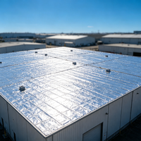 Rouleau d'isolation en feuille bulle réfléchissante pour la réduction de la chaleur, film d'aluminium pour toiture et enveloppe de bâtiment, certifié CE