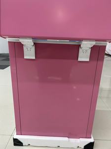 Nuevo Congelador Horizontal Pequeño de 60L Color Rosa - Mini Refrigerador Elegante para Congelación Rápida de Alimentos - Product Image 4