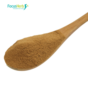 FocusHerb - Extracto Herbal de Grado Alimenticio en Oferta, Yerba Mate en Polvo 10:1 - Product Image 4