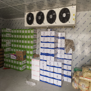 Cámara Frigorífica para Cebollas, Sistema de Refrigeración para Cámaras Frigoríficas, Puerta de Refrigeración para Verduras - Product Image 2