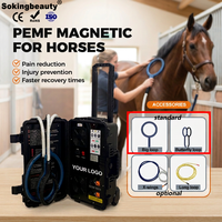 Machine de thérapie PEMF à double commande la plus vendue pour chevaux, réduit les douleurs après l'exercice, machine de massage PEMF pour ranch équestre