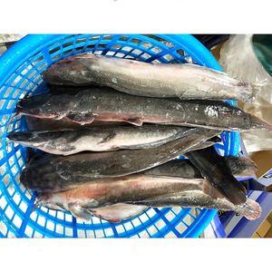 Guangzhoou Black <span class=keywords><strong>Bullhead</strong></span> Live ปลาดุก1000กรัมหางสีแดงปลาแช่แข็งขายทั้งหมดสำหรับตลาดแอฟริกันผู้ผลิตจีน - Product Image 4