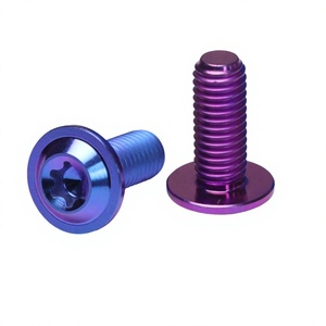 Tornillo de Titanio Grado 5 M5x15 con Acabado Anodizado Morado para Modificación de Bicicletas de Montaña y Carretera - Product Image 3