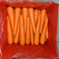 Carottes fraîches 10 kg, emballage en cartons, fournitures de carottes fraîches