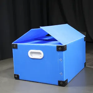Caja de lámina corrugada de plástico extruido reutilizable resistente al agua y a la humedad al por mayor
