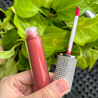 Gloss à lèvres de luxe le plus vendu, créez votre propre tube de rouge à lèvres, gloss brillant et mat, gloss à lèvres végétalien
