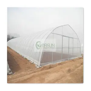 塑料薄膜钢管铝框养鱼农业温室番茄农业隧道