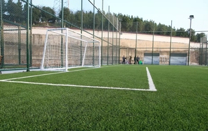 Lfl thảm cỏ bóng đá cỏ Pet Mat Thảm cỏ nhân tạo sân chơi bóng đá bóng đá chuyên nghiệp tổng hợp <span class=keywords><strong>Turf</strong></span> - Product Image 2