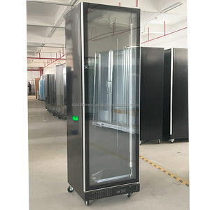Congélateur vitrine à porte vitrée pour supermarché et magasin de proximité, congélateur vertical pour boissons - Product Image 6