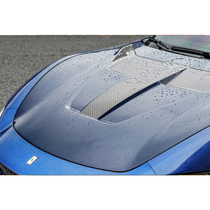Cofano in Fibra di Carbonio DarwinPRO BKSS per <span class=keywords><strong>ROMA</strong></span> - Product Image 2