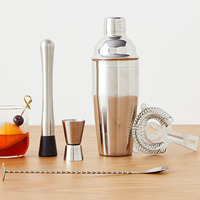 Ensemble de shaker à cocktails professionnel en acier inoxydable poli, 5 pièces, outils de bar avec doseur, pilon, passoire, cuillère de bar pour bar à domicile