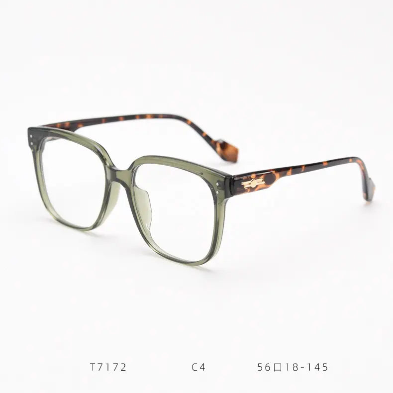 2023 Fashion European American Private Label Eyeglasses Transparent Eye Glasses Optical Eyewear Frames