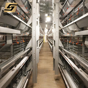 סוג חדש שכבה אוטומטית של עוף כלוב עבור עופות חקלאות חם מטבל 5000 פלדה מגולוון 50000 תרנגולות קיבולת - Product Image 6