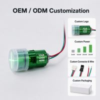 Module laser à ligne croisée verte 520nm 100mW, mise au point réglable, certifié CE RoHS, haute précision, garantie 6 mois, Chine, 15g