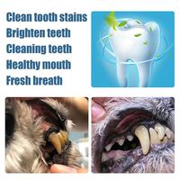 Pluma de limpieza de dientes de plástico ecológica para gatos y perros, Gel de reparación oral para eliminación de placa de sarro, eliminación de mal aliento, blanqueamiento