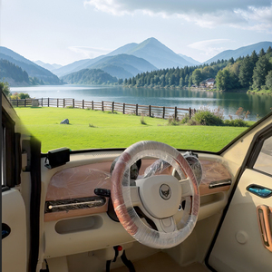 Factory New Shengyouyuan EV <strong>Mini</strong> 4 Seat-Shandong Origin <100km NEDC Range 30-50kWh Battery 50kW Motor - Product Image 3