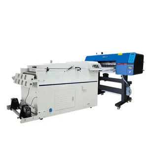 MyColor Fabrikdirektverkauf automatischer 60 cm DTF-Drucker mit 2 Druckköpfen mit Heißpressmaschine einfach zu bedienen
