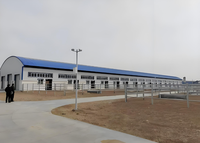 Estructura de Acero Prefabricada para Naves Avícolas Ligeras, Establos, Almacenes, Construcción Rápida con Soldadura y Doblado