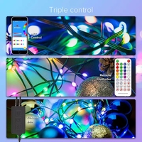 Guirlande lumineuse à LED RVB 100 LED, 10 m, pour Noël, mariage, fête, décoration, pixels WS2812B SK6812, adressable individuellement, USB DC5V 5.