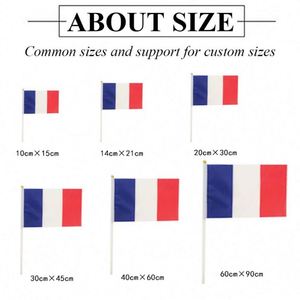Bandera Personalizada con Logotipo, Mini Bandera de Poliéster de Doble Cara con Palo de Plástico para Agitar con la Mano, para Automóvil - Product Image 6