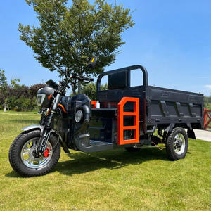 <span class=keywords><strong>Triciclo</strong></span> de suspensión de <span class=keywords><strong>triciclo</strong></span> volquete eléctrico tipo conducción eléctrica inteligente de alto nivel - Product Image 3