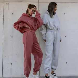 2023 Fall Jogger Set 2 Pc Hoodie Set Women Clothing Winter 2 Piece Set For Women Solid Crop Top Two Piece Sweat Pants