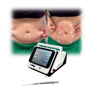 Taşınabilir 980 & 1470nm dalgaboyu lipoliz <span class=keywords><strong>Lipo</strong></span> diyot lazer makine cihazı cilt gençleştirme yüz kaldırma Endolif ab tak için - Product Image 1