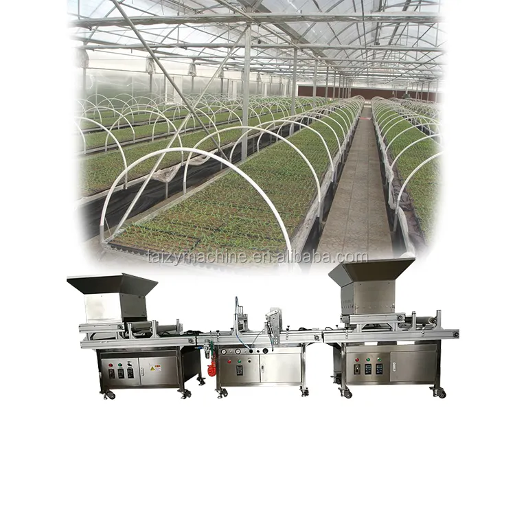 La plantación de sembradora plantador de semillas de brócoli bandeja brotes máquina