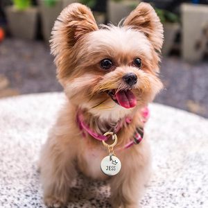 STSTR Pcs Round <b>Spring</b> <b>Clips</b> With D Ring Gold Metal Keyring Purse <b>Clip</b> Heavy Duty Opening O Ring Carabiner For Keychains Buckle - Product Image 5