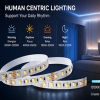 Bande LED SMD 3838 RGBW 24V 18W/M Spectre Complet Blanc Réglable 1800K-12000K Haute IRC Éclairage Circadien
