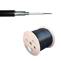 Câble à fibre optique monomode extérieur Weunion GYXTW-2-12 cœurs G652D pour les déploiements FTTH/FTTB/réseaux
