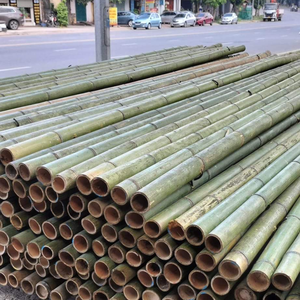 Bâtons de bambou courbés à la vapeur pour l'artisanat traditionnel et l'architecture - Product Image 1