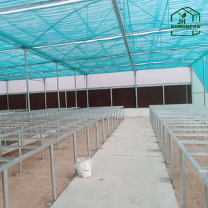 Serre de haute technologie avec système de refroidissement avancé Fan-Pad Polyhouse, structure durable et couverture résistante aux UV pour les légumes - Product Image 2