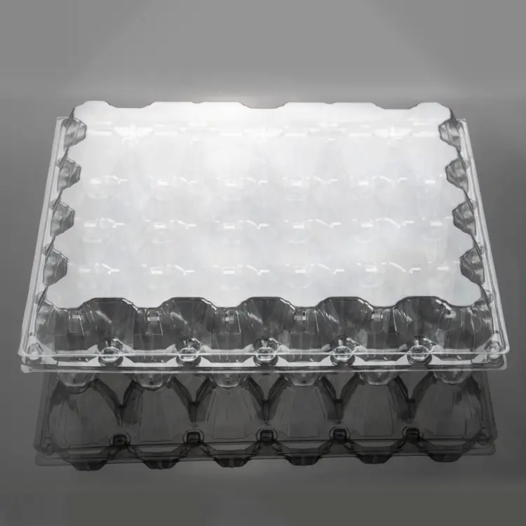 Bandeja de plástico transparente desechable para huevos, bandeja de embalaje para huevos PET/RPET, 30 cajas de cartón a precio de fábrica