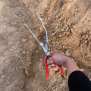 Repiquage domestique, Machine <span class=keywords><strong>de</strong></span> plantation pour <span class=keywords><strong>patates</strong></span> <span class=keywords><strong>douces</strong></span>, semis <span class=keywords><strong>de</strong></span> poivre, semis - Product Image 3