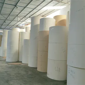 Hot Sale Raw Material Of Paper Cup Single Double Pe Coated Paper Roll For Paper Cups