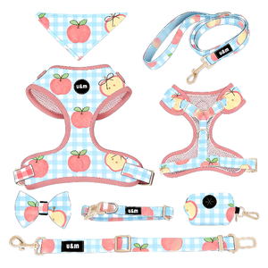 Nuovo Design <span class=keywords><strong>2026</strong></span>: Set di Guinzaglio, Collare e Pettorina in Neoprene per Cani, Personalizzabile con Logo, Senza Strappi, per Addestramento - Product Image 1