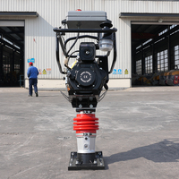 Compacteur à plaque vibrante thermique personnalisable, fourni directement par l'usine