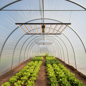 Lampes de culture LED à spectre complet de qualité médicale 1000W avec supplément UV/IR pour l'horticulture intérieure professionnelle et l'hydroponie - Product Image 1