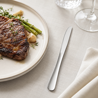 Ensemble de couteaux à beurre modernes en acier inoxydable de qualité 410, poli miroir, compatibles lave-vaisselle, pour hôtels, restaurants, traiteurs, vente en gros