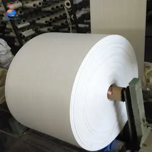 Großhandel Kunststoff laminierte weiße PP-Stoff gewebte Polypropylen Beutel rolle
